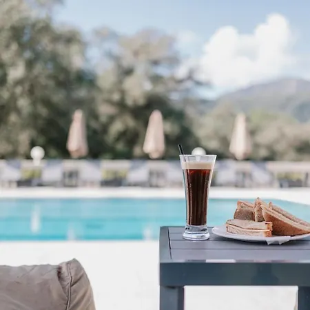 Pelithea Family イプソス